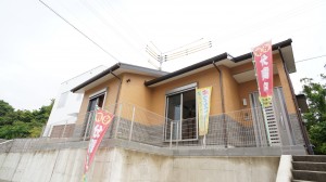 DSC07161
